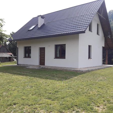Apartament Pod Lipka Lutowiska Dış mekan fotoğraf