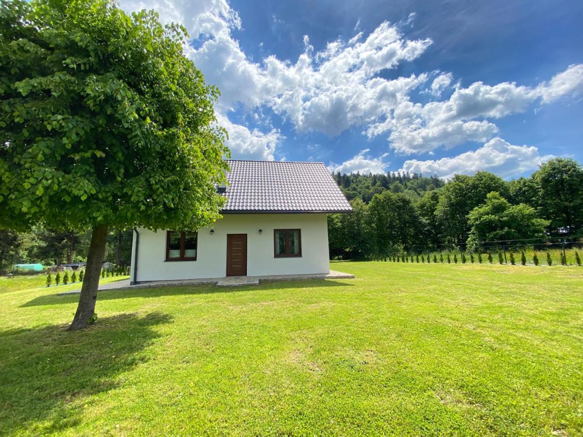 Apartament Pod Lipka Lutowiska Dış mekan fotoğraf